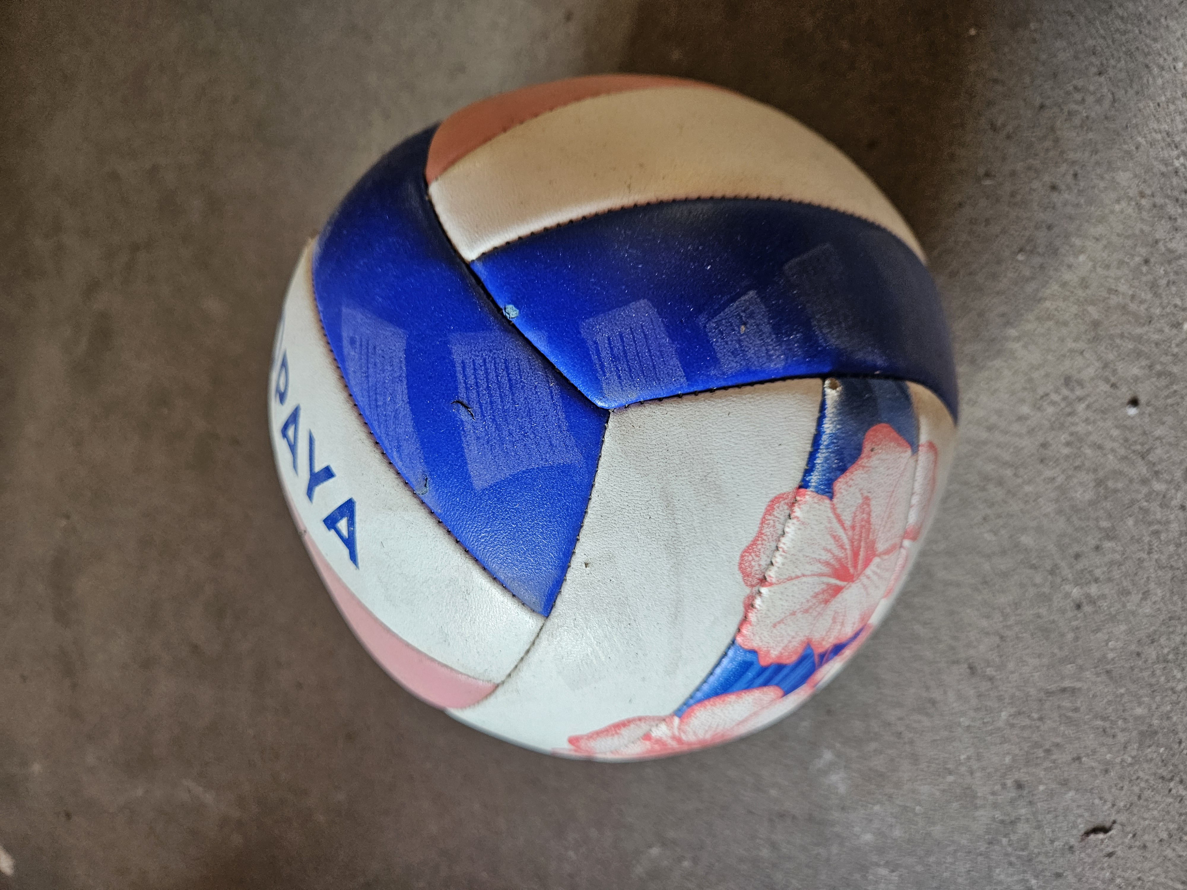 Volleyball